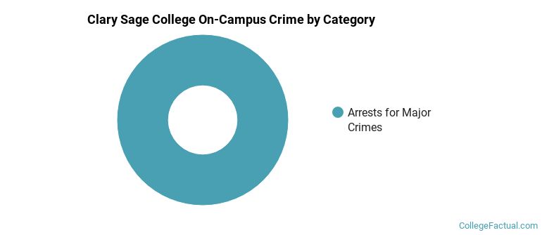 Clary Sage College On-Campus Crime by Category