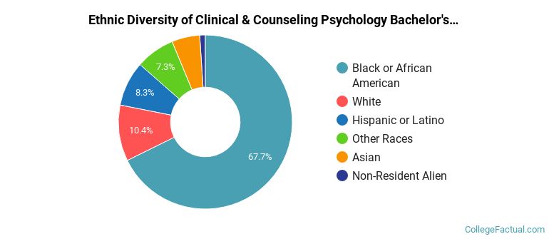 Ethnic diversity of Clinical & Counseling Psychology majors at Clayton State University