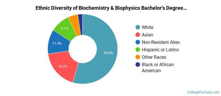 Ethnic diversity of Biochemistry & Biophysics majors at Colgate University