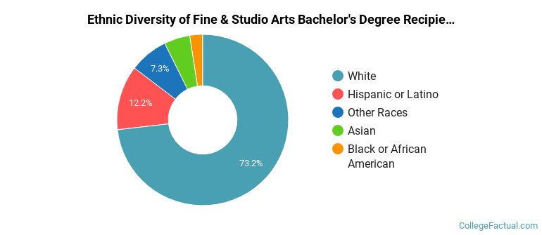 Ethnic diversity of Fine & Studio Arts majors at College of Charleston