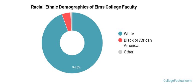 Racial-Ethnic Demographics of Elms College Faculty