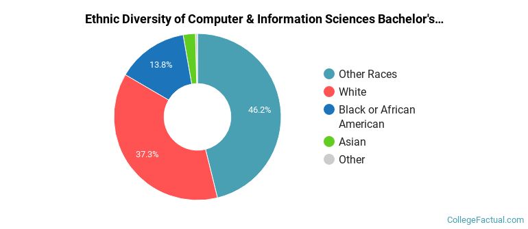Computer Science Diversity The Undergraduate Computer & Information Sciences Major at Colorado ...