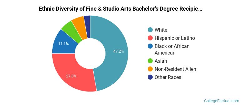 Ethnic diversity of Fine & Studio Arts majors at Columbia College Chicago