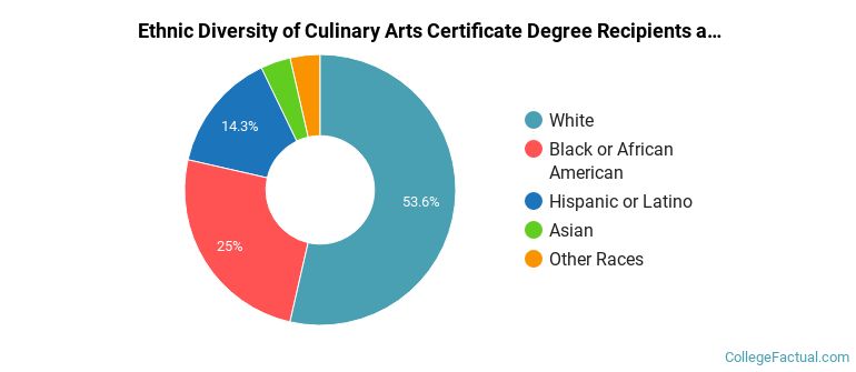 Ethnic diversity of Culinary Arts majors at Columbia College