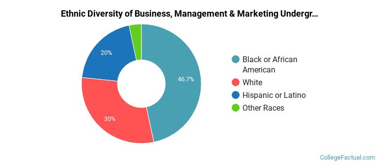 Ethnic diversity of Business, Management & Marketing majors at Columbus Technical College