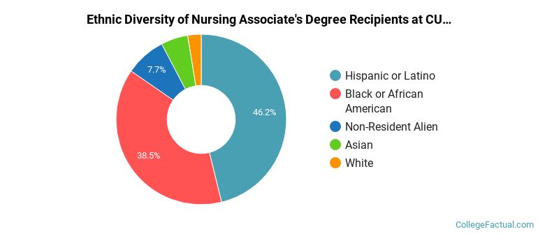 Ethnic diversity of Nursing majors at CUNY Hostos Community College