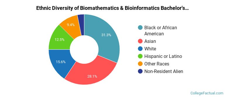 Ethnic diversity of Biomathematics & Bioinformatics majors at CUNY New York City College of Technology