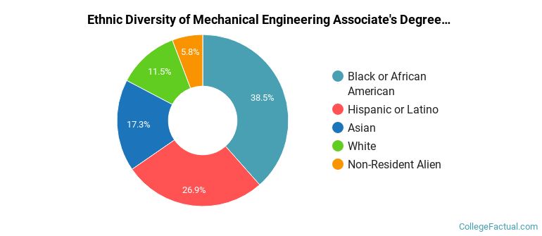 Ethnic diversity of Mechanical Engineering majors at CUNY New York City College of Technology
