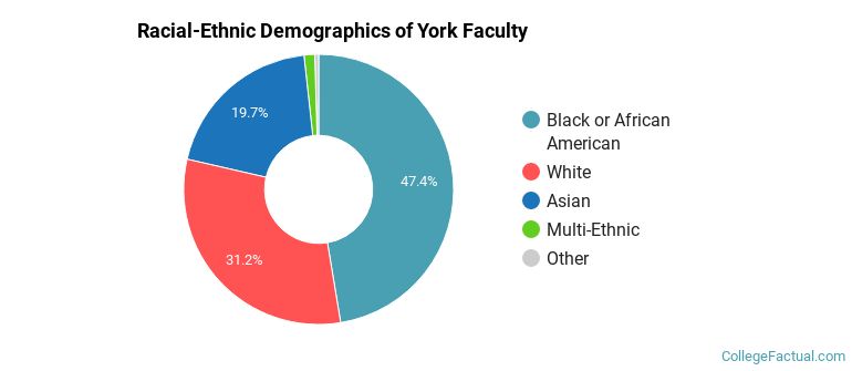 Racial-Ethnic Demographics of York Faculty