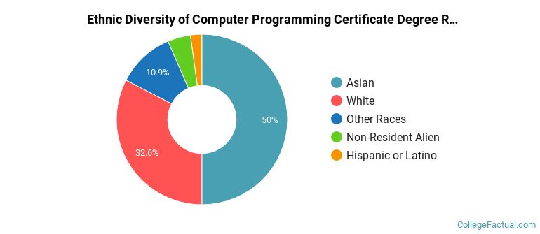 Ethnic diversity of Computer Programming majors at De Anza College