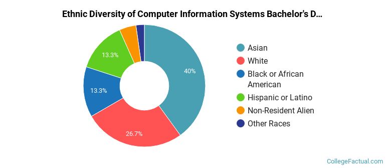 Ethnic diversity of Computer Information Systems majors at DePaul University