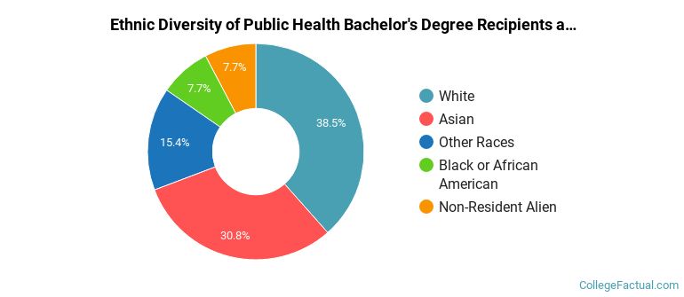Ethnic diversity of Public Health majors at Drexel University