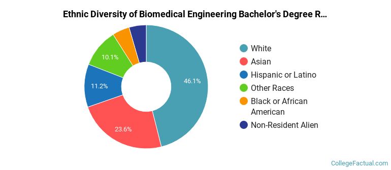 Ethnic diversity of Biomedical Engineering majors at Duke University