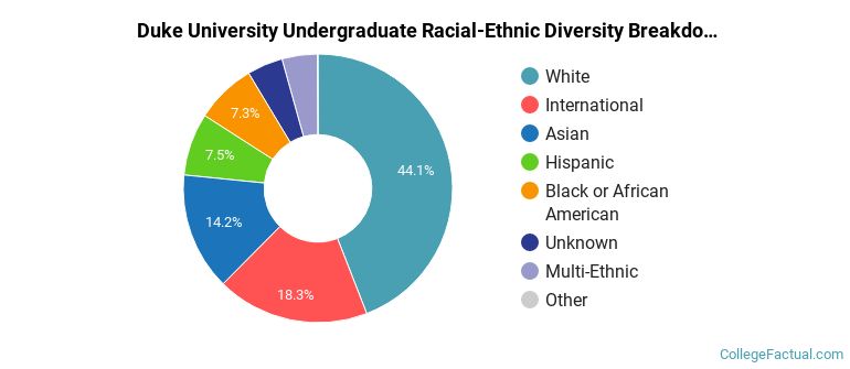 Duke University Racial-Ethnic Diversity Pie Chart