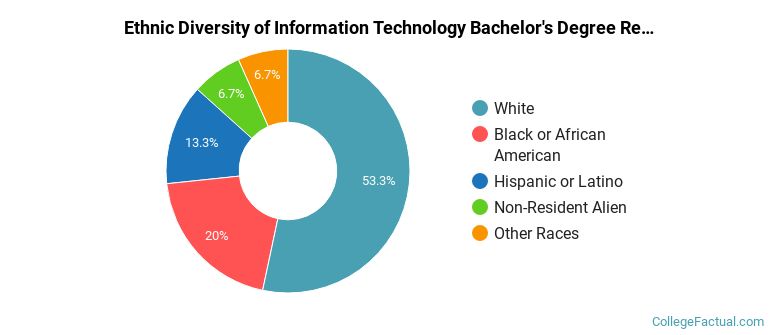 Ethnic diversity of Information Technology majors at Eastern Illinois University