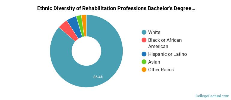 Ethnic diversity of Rehabilitation Professions majors at Eastern Michigan University