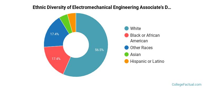 Ethnic diversity of Electromechanical Engineering majors at ECPI University
