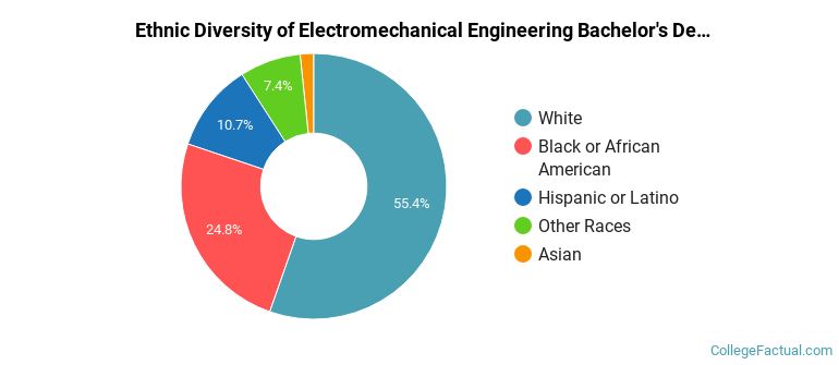 Ethnic diversity of Electromechanical Engineering majors at ECPI University