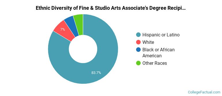 Ethnic diversity of Fine & Studio Arts majors at El Paso Community College
