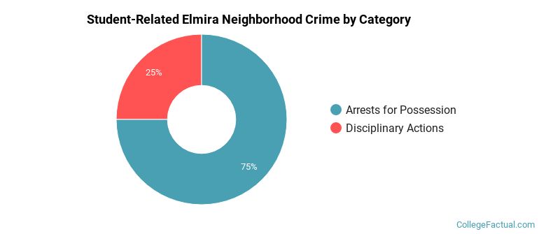 Student-Related Elmira Neighborhood Crime by Category