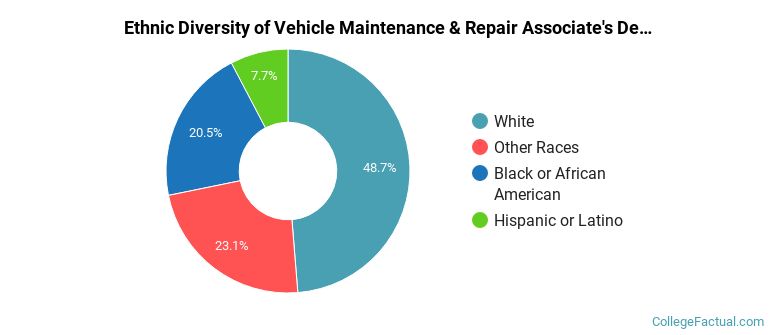 Ethnic diversity of Vehicle Maintenance & Repair majors at Enterprise State Community College