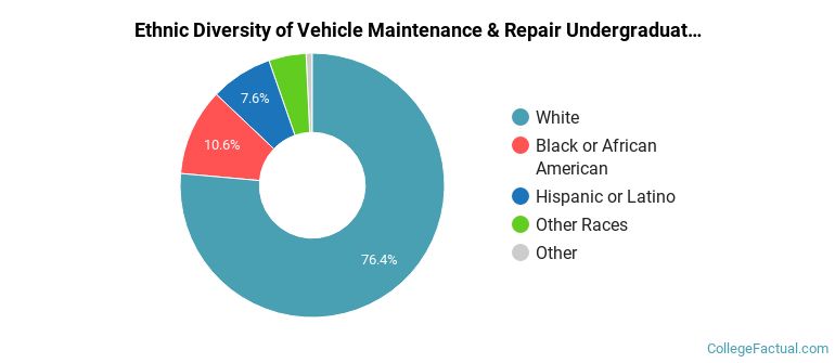 Ethnic diversity of Vehicle Maintenance & Repair majors at Enterprise State Community College