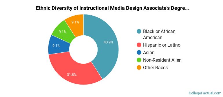Ethnic diversity of Instructional Media Design majors at Essex County College
