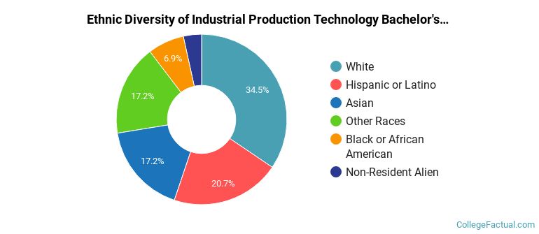 Ethnic diversity of Industrial Production Technology majors at Farmingdale State College