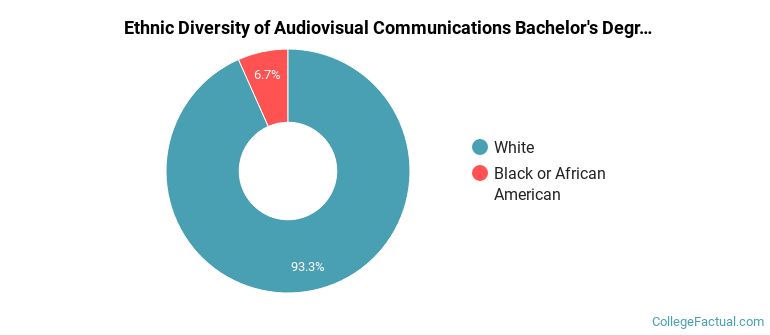 Ethnic diversity of Audiovisual Communications majors at Ferris State University