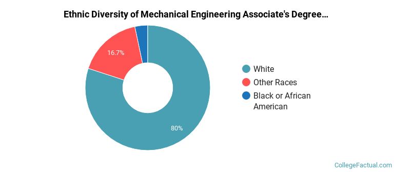 Ethnic diversity of Mechanical Engineering majors at Ferris State University
