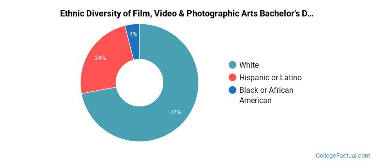 Ethnic diversity of Film, Video & Photographic Arts majors at Five Towns College
