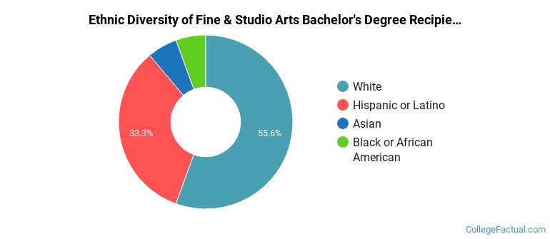 Ethnic diversity of Fine & Studio Arts majors at Florida Gulf Coast University