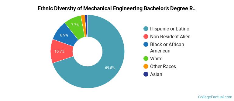 Ethnic diversity of Mechanical Engineering majors at Florida International University