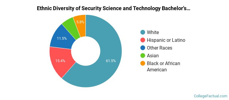 Ethnic diversity of Security Science and Technology majors at Florida State University