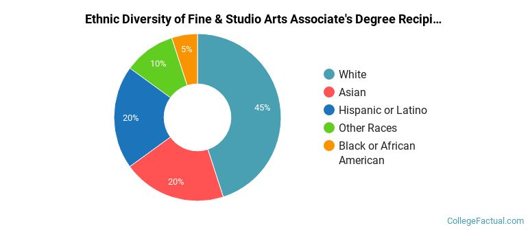 Ethnic diversity of Fine & Studio Arts majors at Folsom Lake College