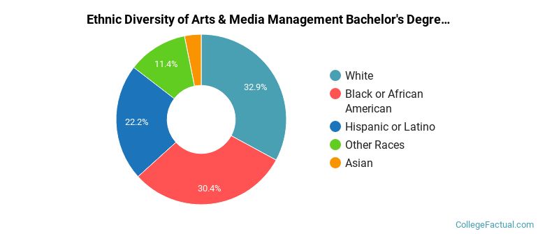 Ethnic diversity of Arts & Media Management majors at Full Sail University