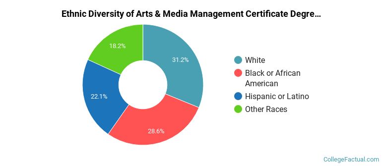 Ethnic diversity of Arts & Media Management majors at Full Sail University