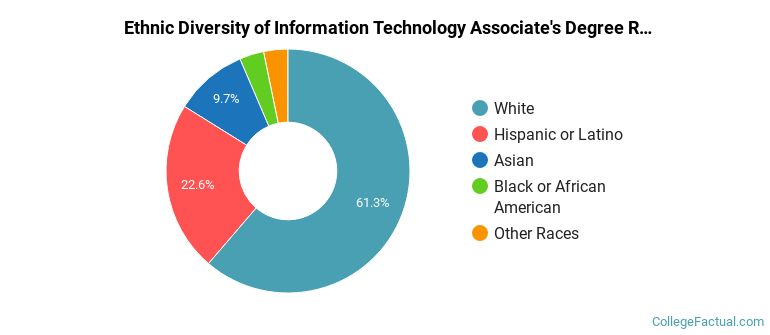 Ethnic diversity of Information Technology majors at Gateway Technical College