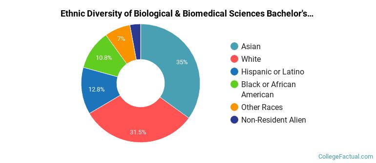 Ethnic diversity of Biological & Biomedical Sciences majors at George Mason University