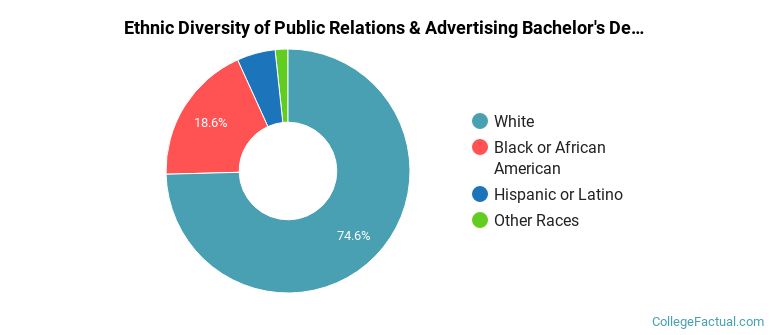 Ethnic diversity of Public Relations & Advertising majors at Georgia Southern University