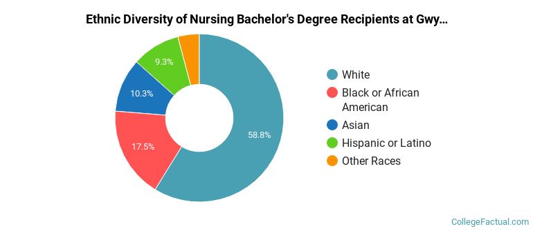 Ethnic diversity of Nursing majors at Gwynedd Mercy University