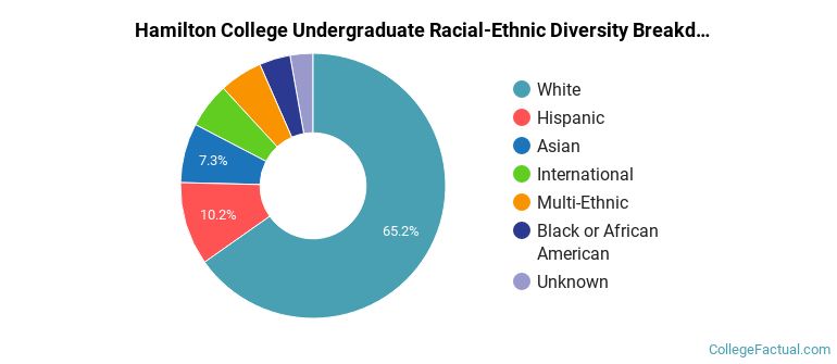 Hamilton College Racial-Ethnic Diversity Pie Chart