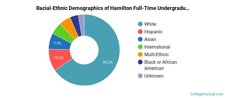 Hamilton College Undergraduate Racial-Ethnic Diversity Pie Chart