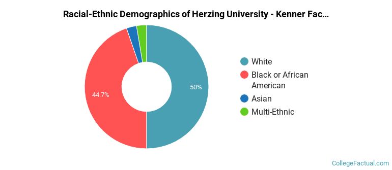 Racial-Ethnic Demographics of Herzing University - Kenner Faculty