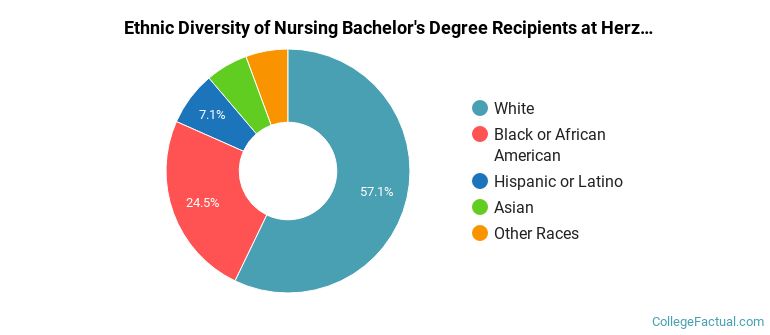 Ethnic diversity of Nursing majors at Herzing University-Madison