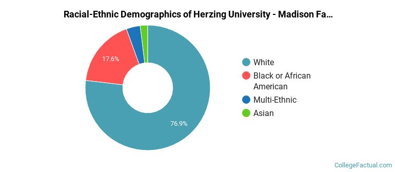 Racial-Ethnic Demographics of Herzing University - Madison Faculty