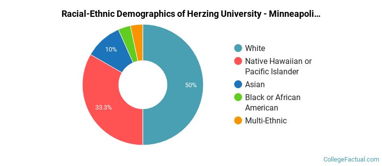 Racial-Ethnic Demographics of Herzing University - Minneapolis Faculty