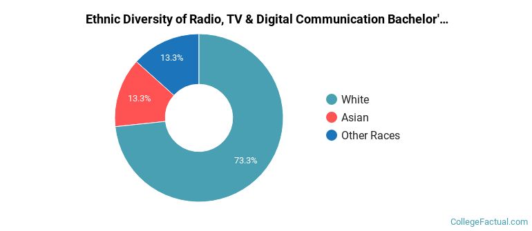 Ethnic diversity of Radio, TV & Digital Communication majors at High Point University