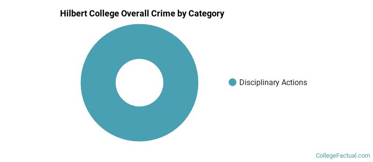 Hilbert College Overall Crime by Category