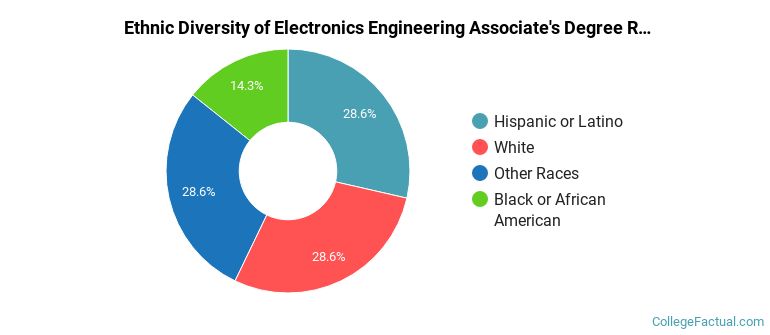Ethnic diversity of Electronics Engineering majors at Hillsborough Community College
